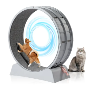 Cat Exercise Wheel, 31 Inch Cat Wheels For Indoor Cats, Cat Treadmill Wheel Exerciser With Carpeted Runway (Color: Grey)