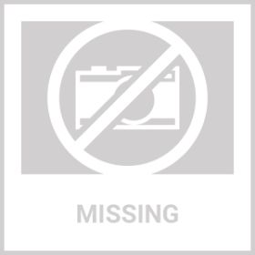 3000 FT Dog Training US Collar Rechargeable Remote Shock PET Waterproof Trainer (Option: For3Dogs)